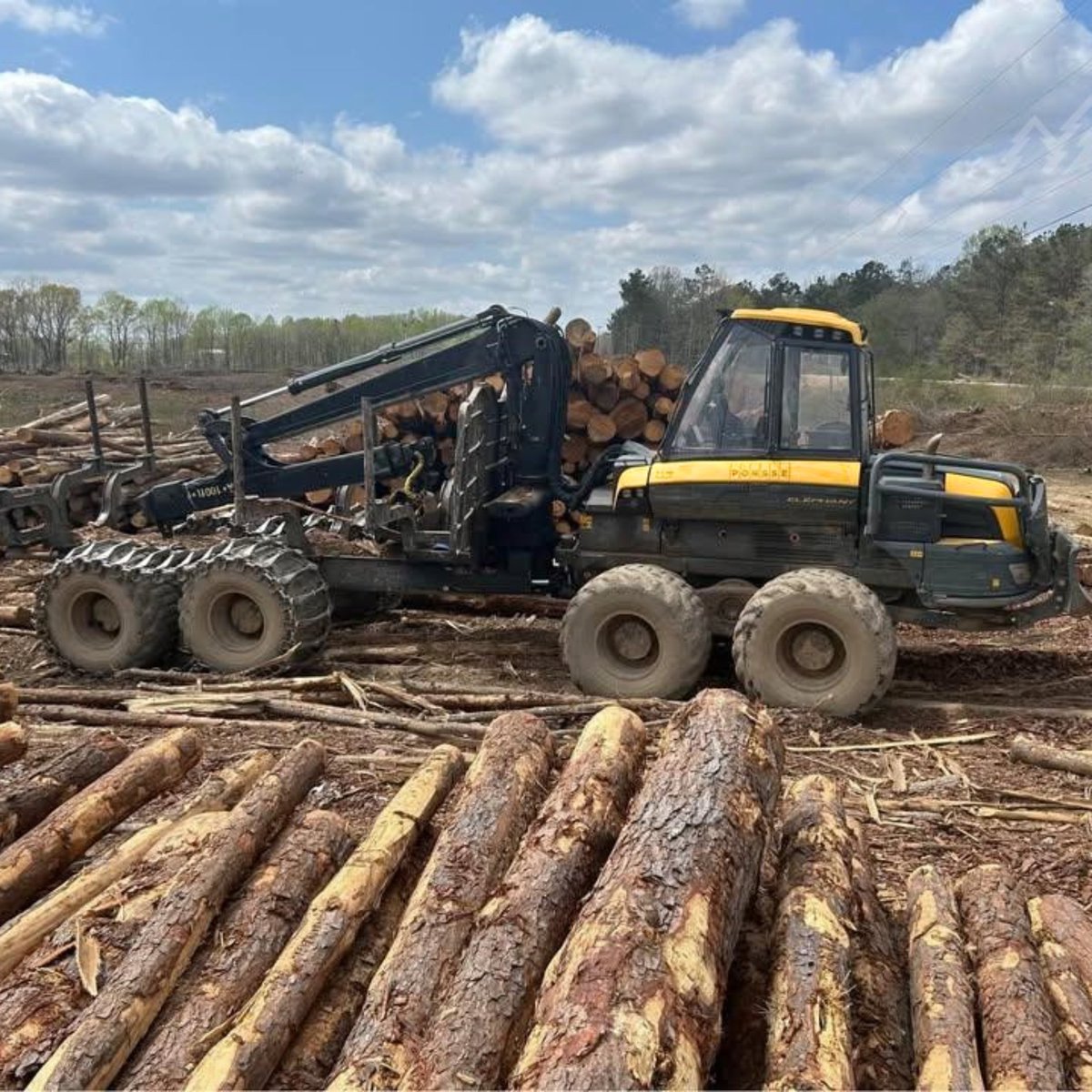 ForestryTrader's tweet photo. 2019 PONSSE ELEPHANT 🐘
Running a demanding forestry operations? This powerful forwarder is ready to move timber! 🕜 10k hours
🔗➡️ https://t.co/FPMubABakC

#ForestryEquipment #LoggingEquipment #TimberHarvesting #HeavyEquipment #FeaturedListing https://t.co/4uWVMyVJPe