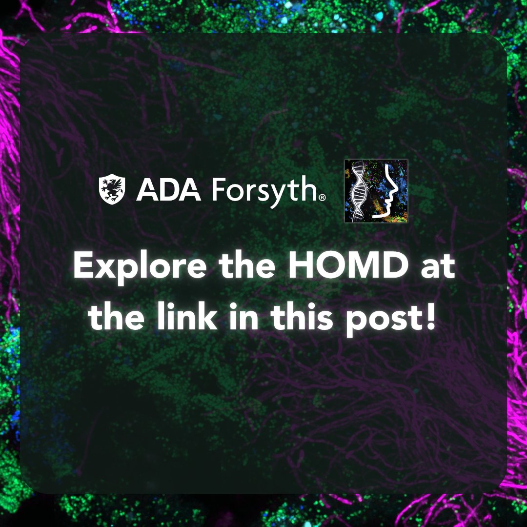 ForsythResearch's tweet photo. ADA Forsyth researchers continue to map oral microbiome ecology. The team recently released a new pangenomic resource built from eHOMD: 579 pangenomes spanning 8,115 bacterial genomes, representing 99.2% of all genomes cataloged in eHOMD. 

Learn more: https://t.co/uIbNiZ33z8 https://t.co/m1ydEJo4N5