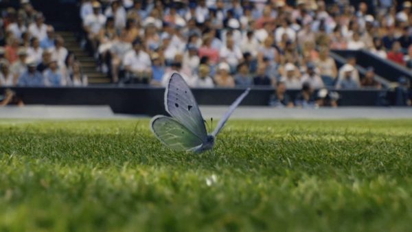 marcommnews's tweet photo. Wimbledon captures the emotion of The Championships in striking new campaign: ‘Where beauty meets the battle’ https://t.co/K3jrbo6SF0 @VCCP @Wimbledon #MarCommNews https://t.co/0f5igHiGG9