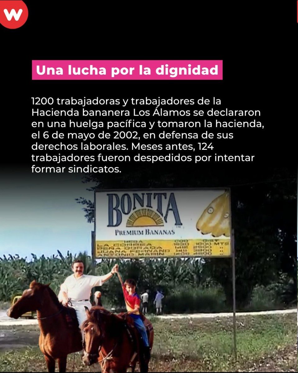 wambraEc's tweet photo. 🍌🇪🇨Hace 24 años, el país fue testigo de una de las protestas más significativas; las y los trabajadores del sector bananero en 2002 realizaron una manifestación pacífica en la hacienda Los Álamos. https://t.co/ZbSrWzJzNb