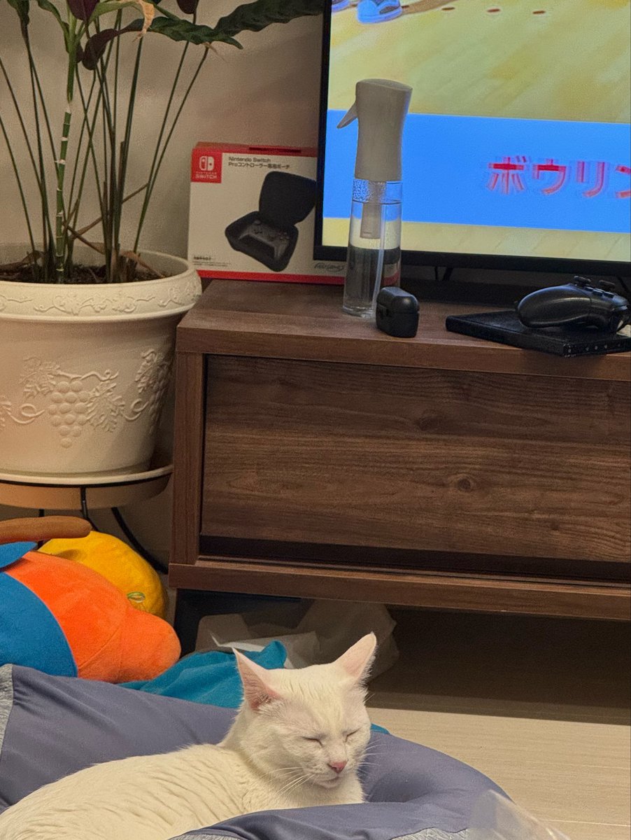 tekki810's tweet photo. ニンダイあんまり惹かれなくてこれ https://t.co/otm9FErZ11