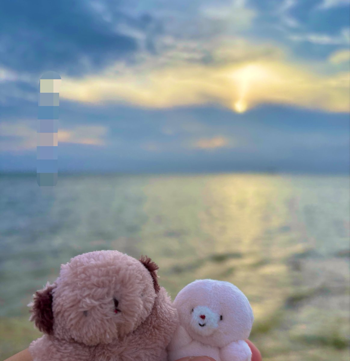 nuoooooopokemon's tweet photo. 波の音を聞くと、もう少し頑張ってみようかなと思った
#ぬい活
#ぬい撮り
#シュラル
#kabocco https://t.co/osutwc1HDF