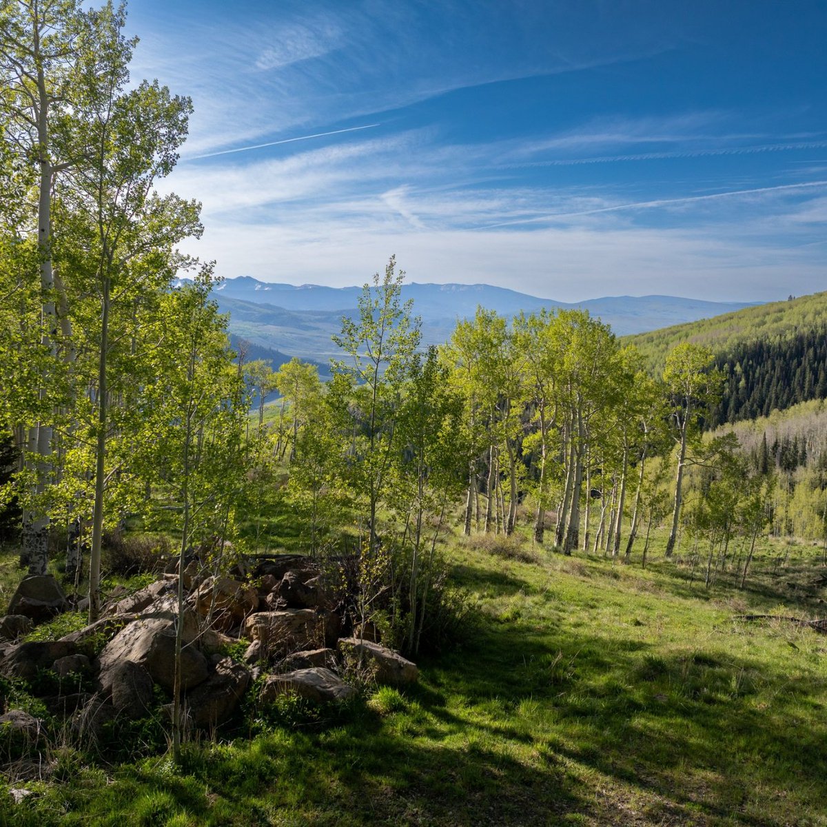 M4RanchGroup's tweet photo. NEW LISTING!! 
A peaceful, private setting defined by open meadows, aspen groves, and scattered pines, this undeveloped property offers the opportunity to develop your dream mountain retreat.
Contact our brokers for more information 
970-944-4444
Ranches@M4RanchGroup.com https://t.co/dzYU3tHA9a