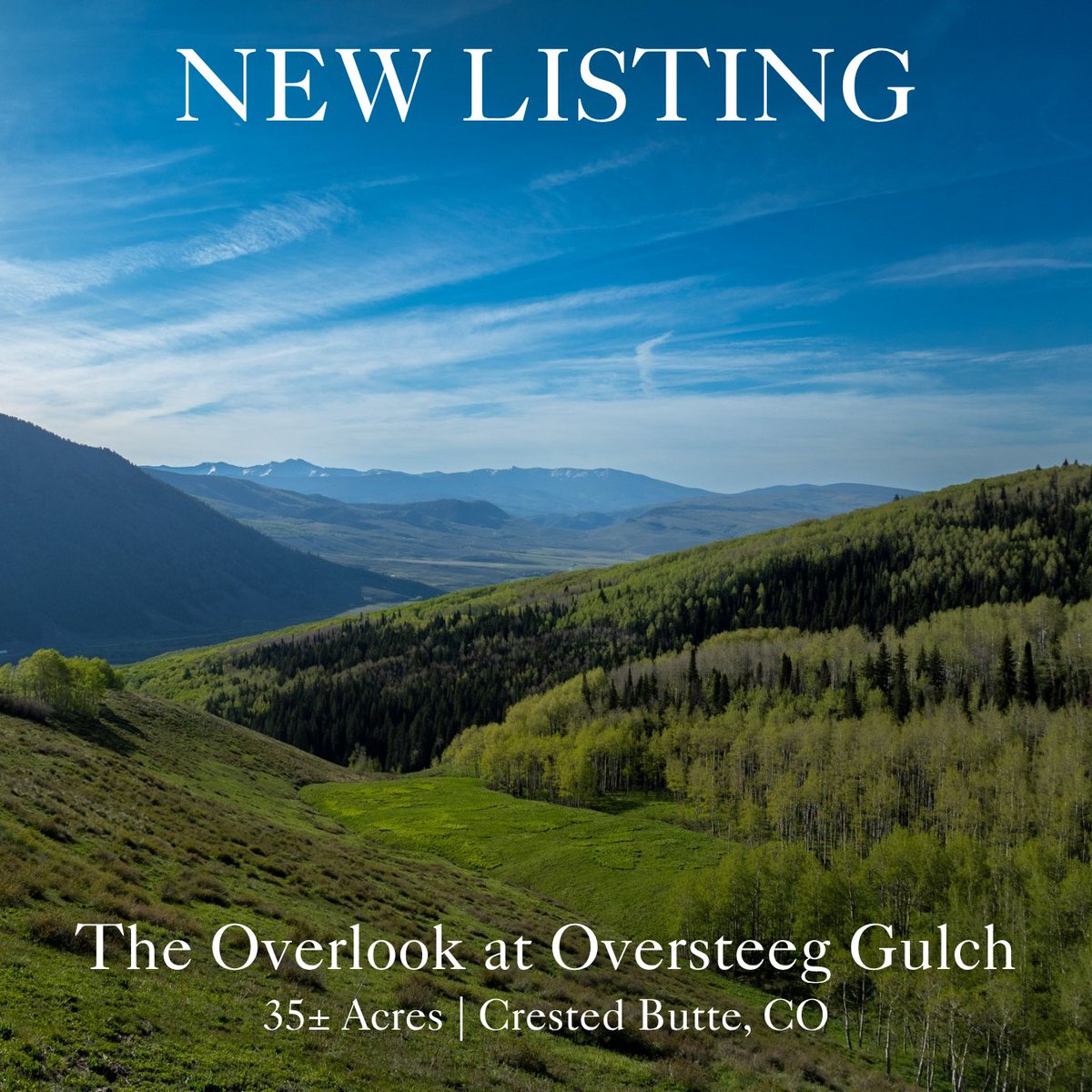 M4RanchGroup's tweet photo. NEW LISTING!! 
A peaceful, private setting defined by open meadows, aspen groves, and scattered pines, this undeveloped property offers the opportunity to develop your dream mountain retreat.
Contact our brokers for more information 
970-944-4444
Ranches@M4RanchGroup.com https://t.co/dzYU3tHA9a