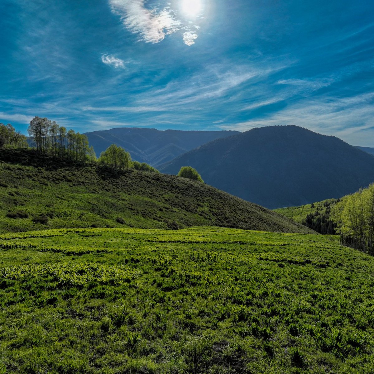 M4RanchGroup's tweet photo. NEW LISTING!! 
A peaceful, private setting defined by open meadows, aspen groves, and scattered pines, this undeveloped property offers the opportunity to develop your dream mountain retreat.
Contact our brokers for more information 
970-944-4444
Ranches@M4RanchGroup.com https://t.co/dzYU3tHA9a