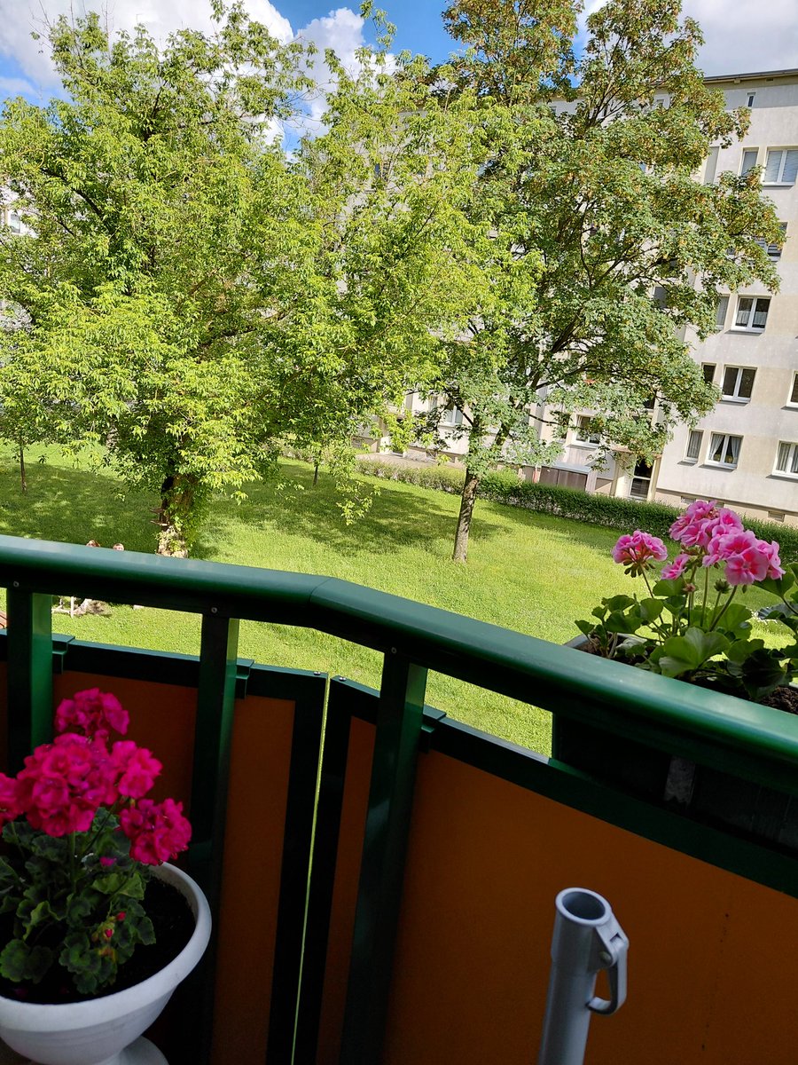 FritscheHe51537's tweet photo. ich hatte Sonne prognostiziert, 
Hier ist sie..
😅👍🙋‍♀️ https://t.co/gBBrPKTQRY