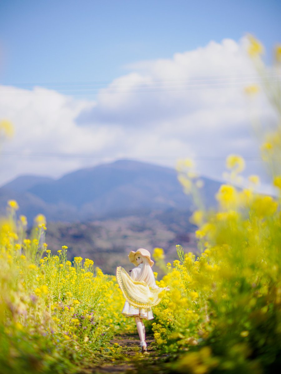 shiratorisan_V2's tweet photo. #私はカメラでこんな写真を撮ってる人です

ドールさんの後ろ姿が好きです🫣 https://t.co/U89fIsszrI