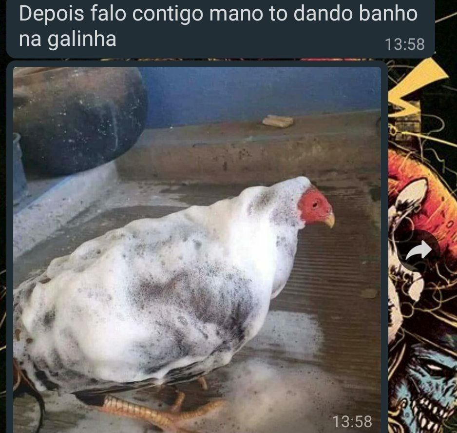 memes.jpeg tweet media