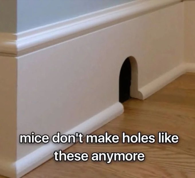 RealestMemes_'s tweet photo. Real https://t.co/46JDmd2uLN