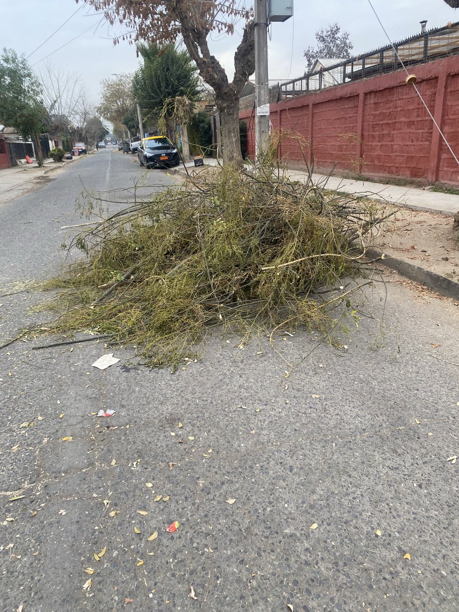 fjarabel's tweet photo. @penalolen favor su ayuda, ya que vecinos que cortan sus arboles botaron las ramas, si medir daños en los matriceros con los jardineros sus ramas obstruyendo el transito de los vehiculos y peatones https://t.co/M6It5XnbOZ