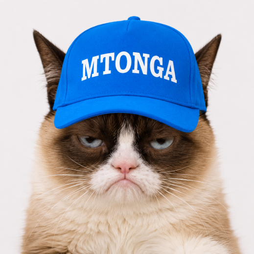 GrumpyCat tweet media
