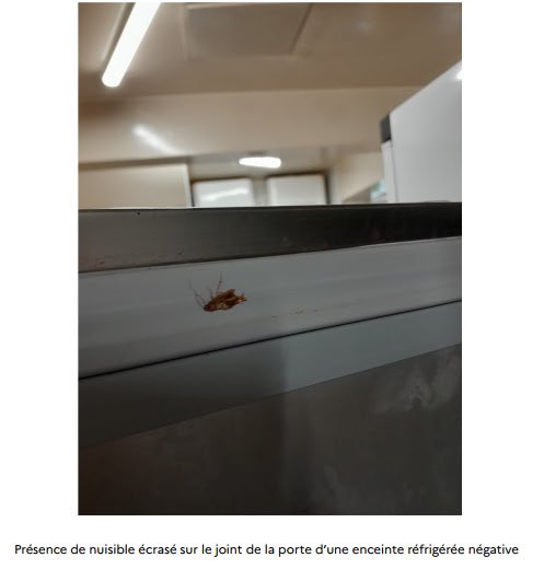 Prefet95's tweet photo. 🔴 #santé | Fermeture administrative décidée par @prefet95 du restaurant « Taj », situé Rond-Point de la Croix Saint Benoît à Gonesse.

❌ Manipulation et mise en vente de denrées alimentaires périmées 
❌ Denrées conservées dans des conditions inadéquates 
❌ Absence de maîtrise des températures des produits 
❌ Conditionnements des denrées alimentaires visiblement sales et/ou en mauvaise état (présence de souillures organiques, poussières aéroportées,…) 
❌ Équipement présentant des cadavres de nuisibles 

🔴 Du fait de ces manquements, l’établissement présente un danger grave et imminent pour la santé publique en raison du risque de contamination ou de développement de micro-organismes et d’intoxication alimentaire.

✅ La mesure de fermeture sera levée dès que l’établissement sera aux normes en vigueur.