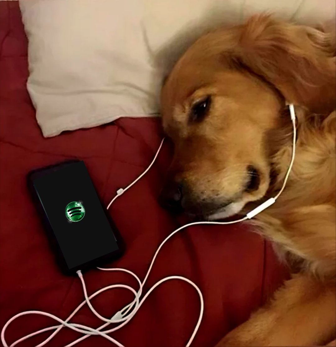 HAWKINSluaa's tweet photo. .🩺 As músicas da playlist do meu paquera que mais mexem comigo e o que eu acho que cada uma significa: a thread.🎵✨
@doguinhostudios 
#entrelaçoseamassos 
(Ninguém pediu, mas eu quis fazer ) https://t.co/UpLgKFwDkG