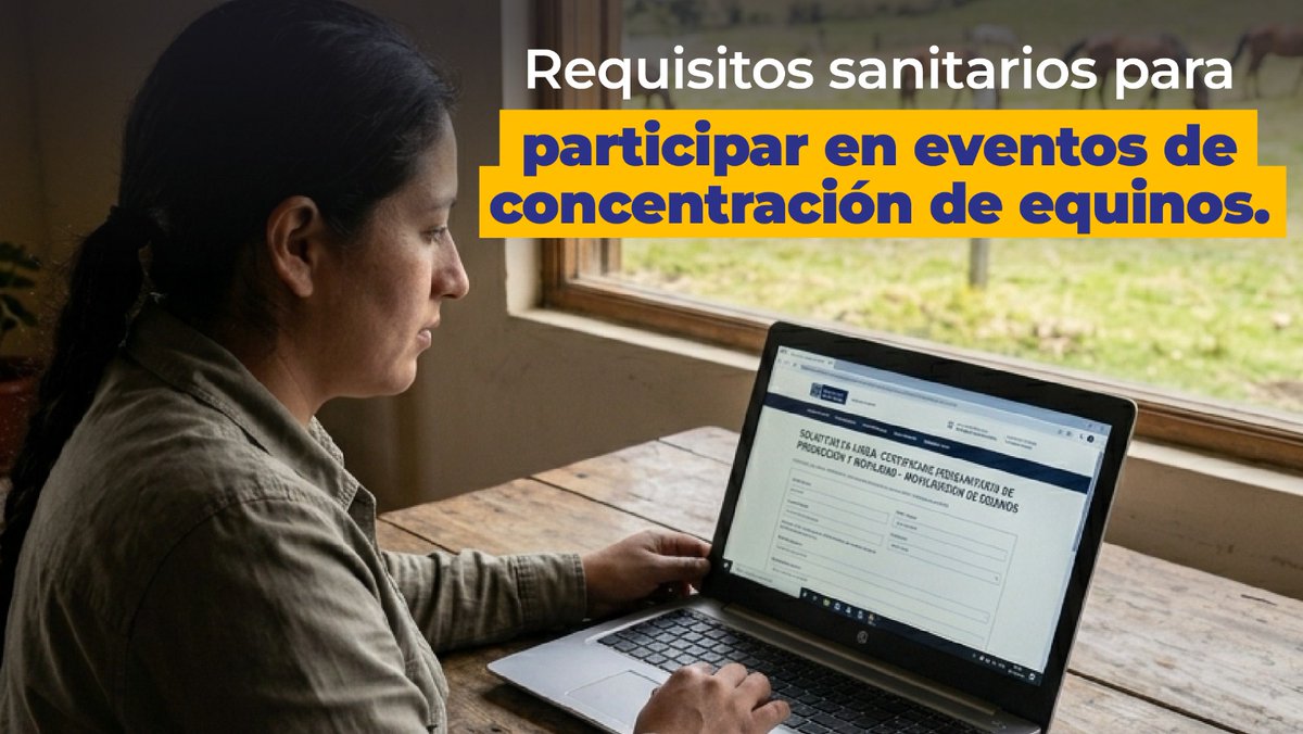 AgrocalidadEC's tweet photo. 🐴 Recuerda obtener el Certificado Zoosanitario de Producción y Movilización (CZPM-M) para la participación de equinos en eventos de exposición.

📄 Realiza tu trámite en la oficina de Agrocalidad más cercana o mediante los canales electrónicos oficiales.

#SanidadEquina https://t.co/VHSrSfBrhA