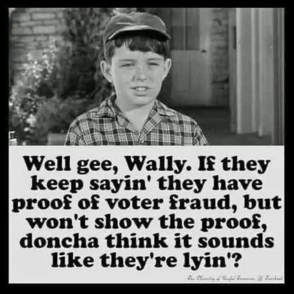 Cpweet's tweet photo. @realBrandonGill Low IQ MAGA Sheep are told what to believe, without presenting proof of massive fraud to sway elections. https://t.co/UaQRCIwZZ7