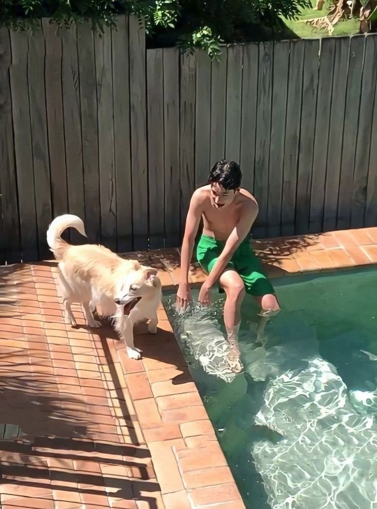 jakeyclub's tweet photo. remember when jake shared the story of how they got layla 🥹

#jake: when we first got layla, it was something that was decided at once. my mom’s friend, i’m not really sure the relation but someone we knew had to move but the place was in new zealand and that person had a lot of dogs and unfortunately they couldn’t bring all the dogs. so they wanted to give layla to a good person.
#jake: i still remember that person as ive mentioned before he left it on a post it, layla’s name, how old she was, it was written in english. there was this once sentence it said “please play this song layla by eric clapton to layla.” eric clapton had a popular song called layla, he really wanted us to let layla hear that song so it left a deep impression on me.