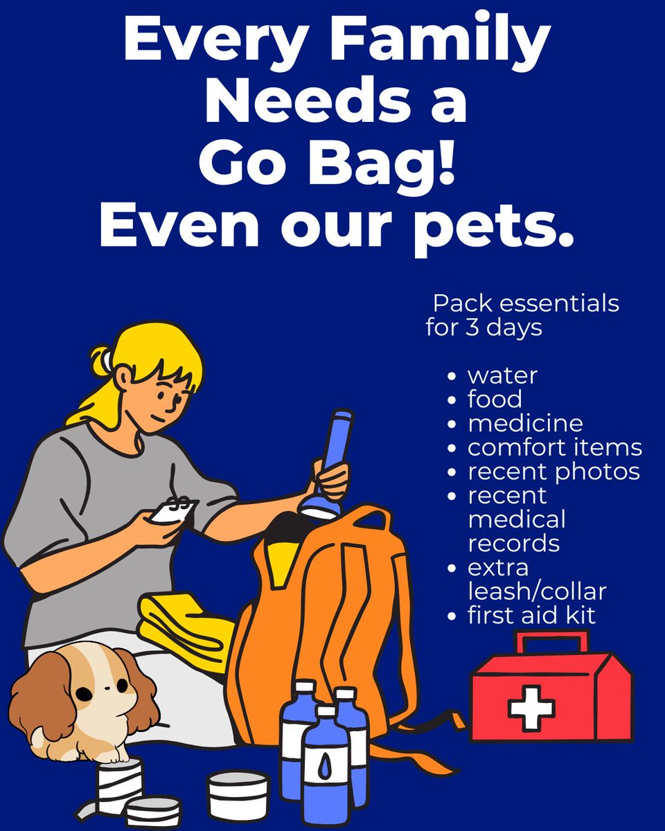 DWAA_US's tweet photo. June is National Pet Preparedness Month. National emergencies  weather affect our pets as well as us. So, we need to make sure they're prepared for evacuation, lockdown, and similar situations. Take the time to prepare them as you prepare yourself. 
#Dogwriters #preparedness https://t.co/4hhW9v0Hqz