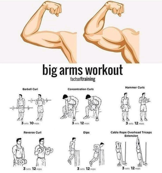 Daily_physique's tweet photo. https://t.co/9MfnLcHwlq