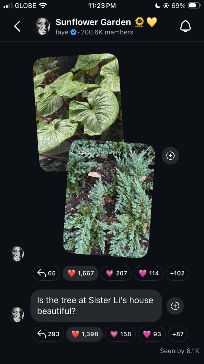lilypeach_FA's tweet photo. Faye's Sunflower Garden Update

We miss you too p'fayee 🌻
#FayePeraya #ฝ้ายพีรญา https://t.co/iwcF8R7qjK