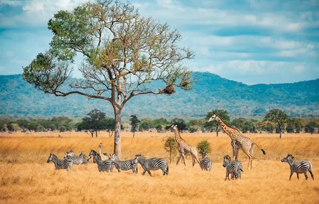 valuetainment's tweet photo. JUST IN: Bill Gates to donate the vast majority of his $200 billion fortune to Africa over the next 20 years. https://t.co/L0CVOLX6KT