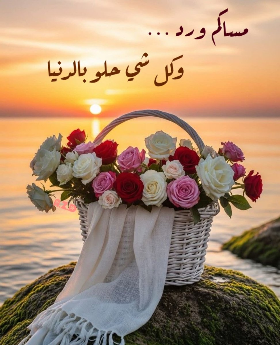 munasalim961's tweet photo. #مساء_الخير_والسعادة 
أسعد الله أوقاتكم بكل خير🌹🤍🌹 https://t.co/Cb7oujqgtH