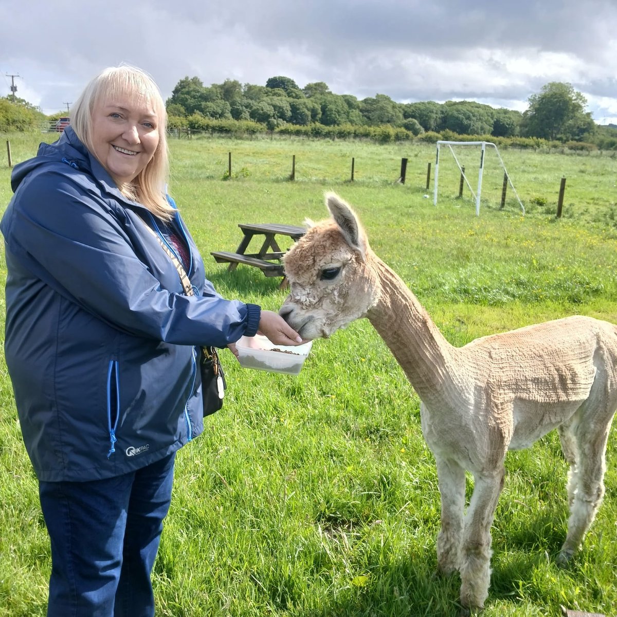 LibrariesNL's tweet photo. Members of our New Tricks group in #WishawLib went on a little trip outside the library today to Magical Journeys Mystical Beasts in Morningside where they met a few Alpaca friends. Not your average library activity day! https://t.co/ylG98XAOCV