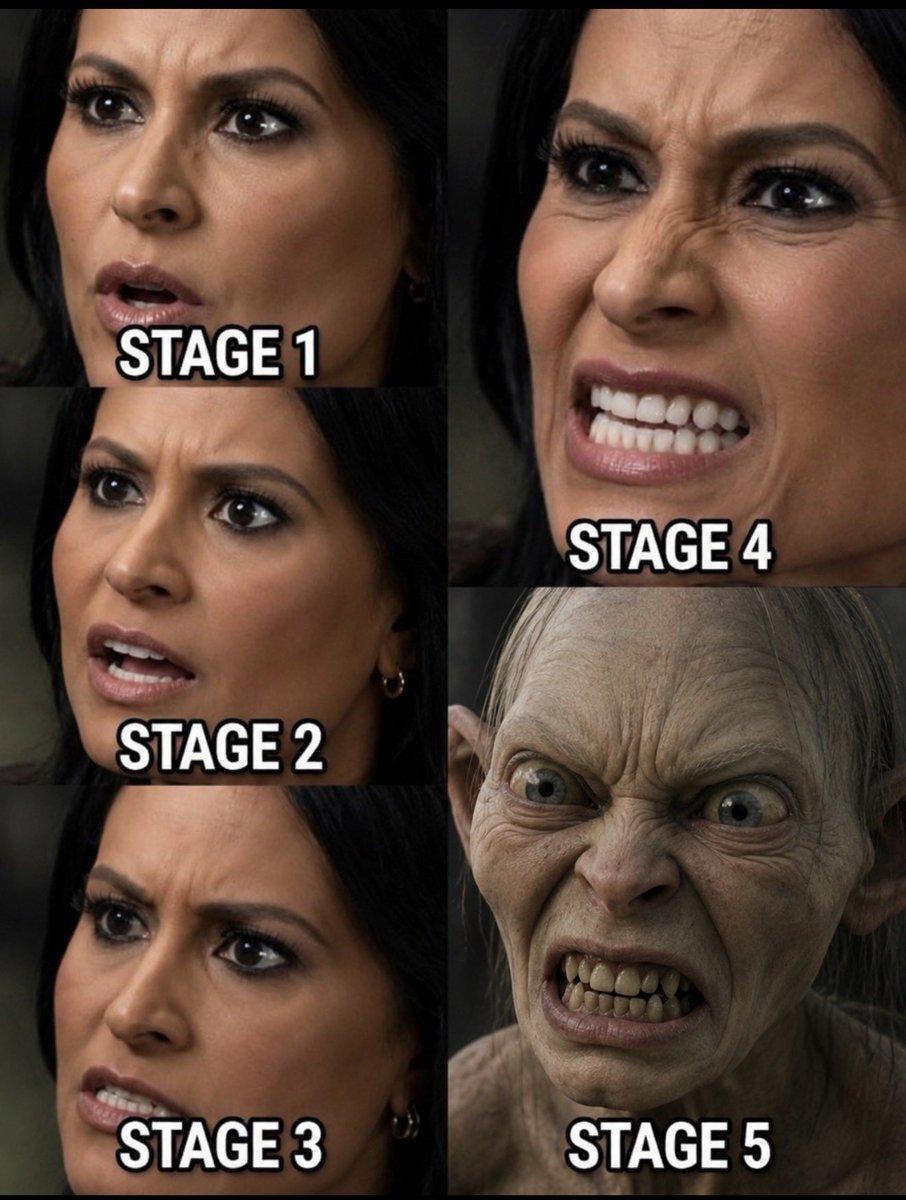 SoveyX's tweet photo. The real five stages of TDS. https://t.co/HC6E0KpbkP