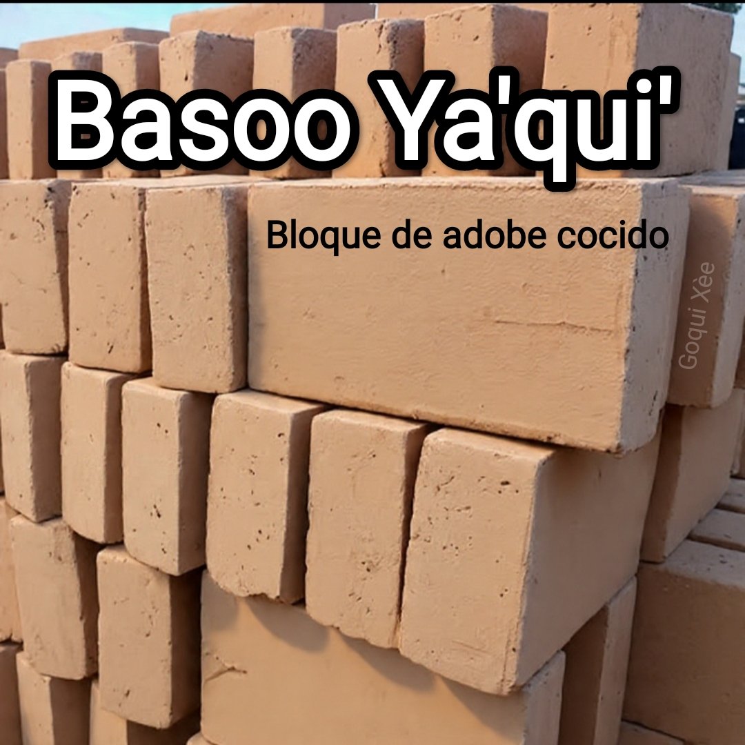 Goqui_Xee's tweet photo. En la lengua Zàa actual se emplea la palabra BASOO para referirse al adobe, dentro de las notas en el vocabulario de fray Juan de Córdoba puede encontrase beçòoyàqui o peçòoyàqui para nombrar al ladrillo cocido al fuego. https://t.co/8v7anAk2CI