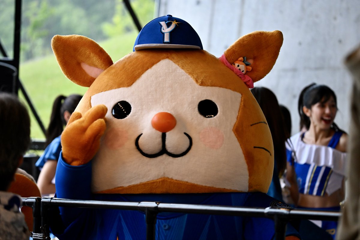 hara_hum's tweet photo. 噂に聞いてたとおりで柵の前に押しかけるファンの合間をぬってお席の方にもファンサくれてとってもやさしい🌟🫡 https://t.co/AnMhKDnqTx