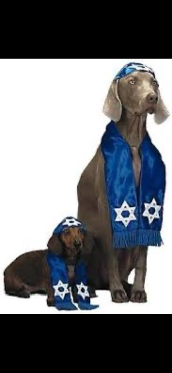 MikhailLaz29941's tweet photo. @technv67 @KateEmersonBri @SenatorWong @AlboMP @DavidShoebridge @DavidPocock @Greens @cheryl_kernot @MichaelWestBiz Soldiers don’t fukk “peace” activists. Dogs do! https://t.co/T6Yx2Aj1Jo