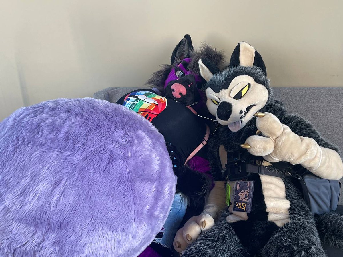 QuartzYeen's tweet photo. "The person in there? Oh yeah, they're cooked..."

Have a funny meme for #TummyTuesday with @StreyFur 

#Vore #Belly #Fursuit #FursuitEveryday #Furry https://t.co/Czj7d9URJR