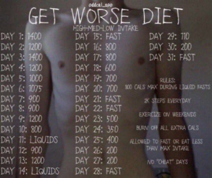 picnicaskets's tweet photo. current diet ! 🪽 https://t.co/GZnSAlV1dX
