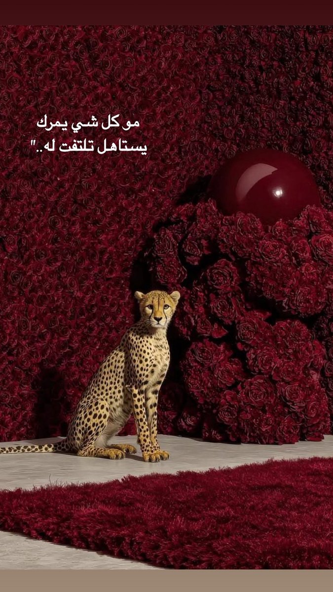 f_90o0's tweet photo. #مساء_الخير_والعافية https://t.co/NufP2QBUiH