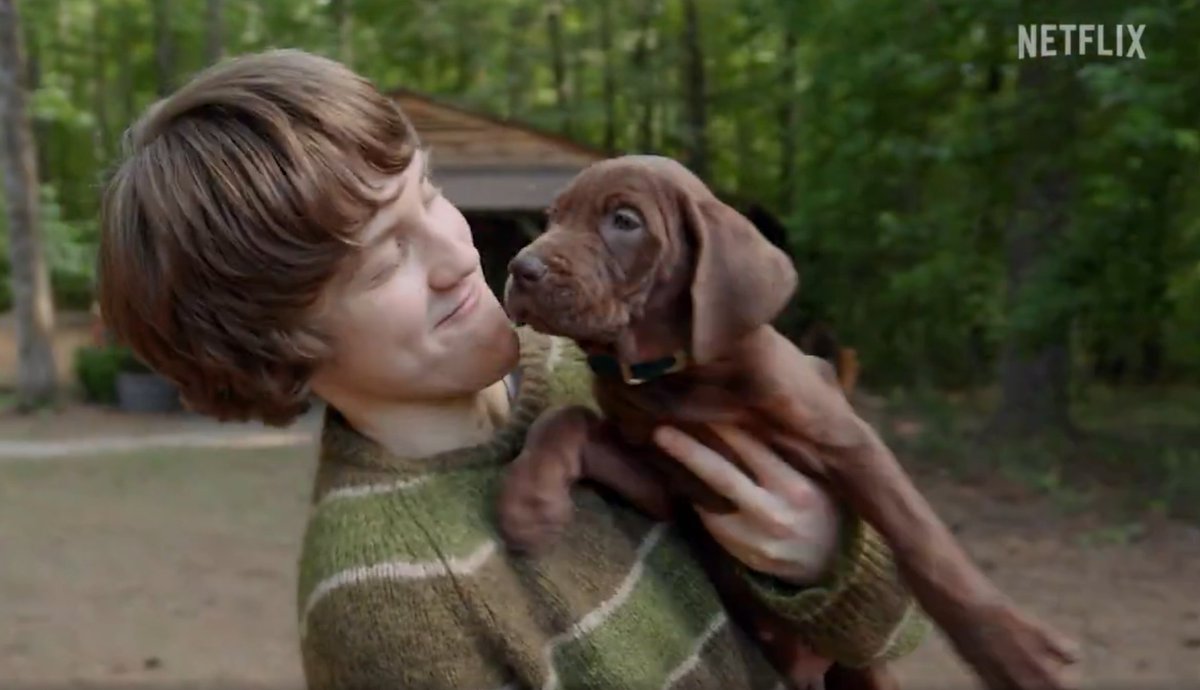 briefLedger's tweet photo. Netflix is making Scooby-Doo REAL. 🐶

The first teaser for 'Scooby-Doo: Origins' (2027) just dropped, and the iconic Great Dane is being played by a real puppy—no CGI or cartoons this time!

Read about the cast &amp; synopsis here: https://t.co/K6kgGUHsVS
#ScoobyDoo #Netflix https://t.co/cpeh0xcbid