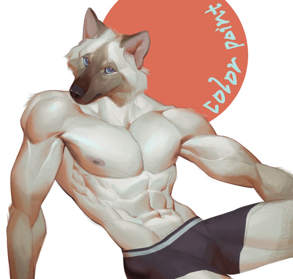 colorpoint_wolf's tweet photo. doodle🐺 https://t.co/NVcNBv9DyI