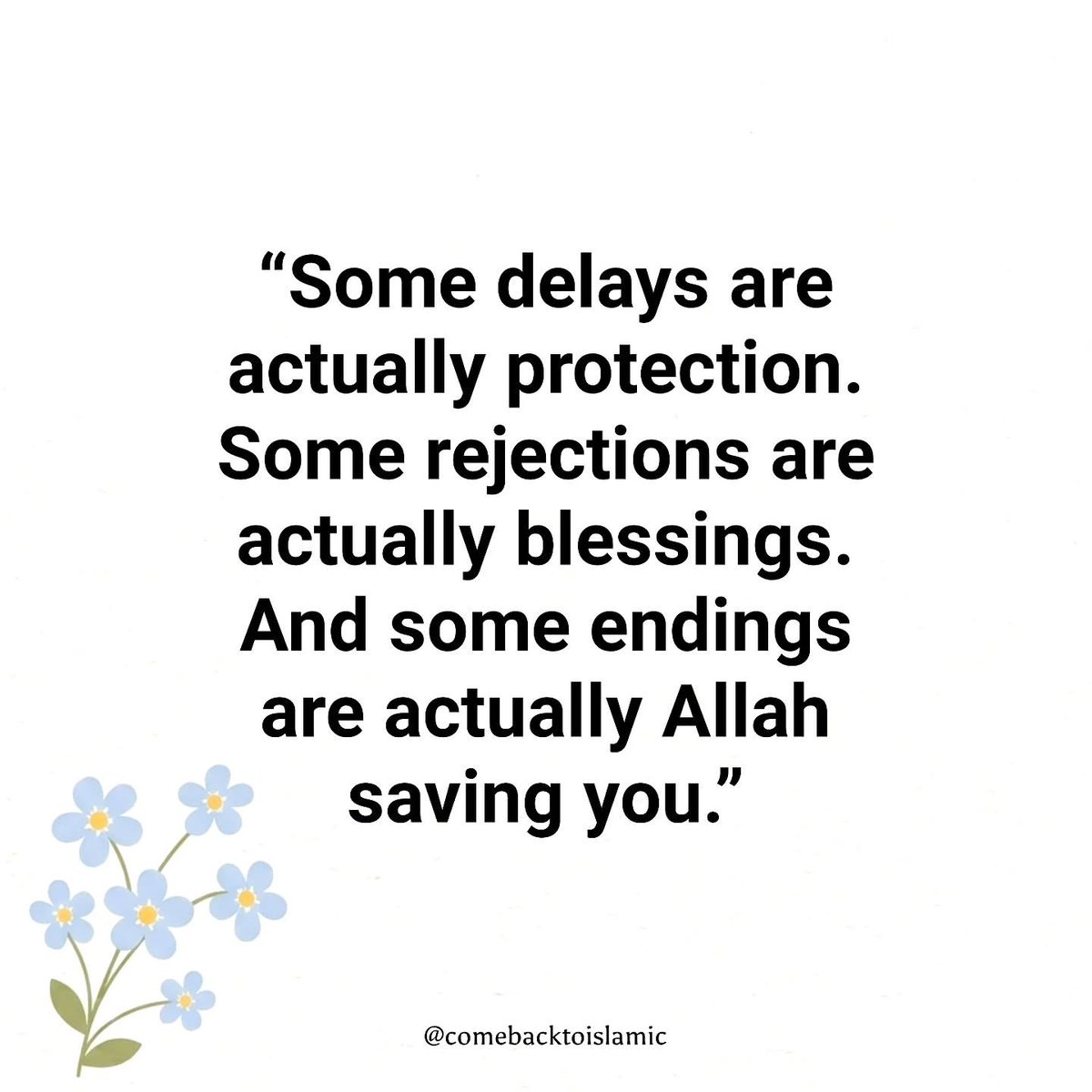 AsmaHaniffa's tweet photo. #Islam
#Muslim
#IslamicReminder
#Quran
#Hadith
#Allah
#Muhammad
#IslamicQuotes
#Deen
#Sunnah
#Dawah
#Faith
#Prayer
#IslamicPost
#MuslimCommunity
#Alhamdulillah
#SubhanAllah
#MashaAllah
#InshaAllah
#IslamicKnowledge https://t.co/9CMMOhTihi
