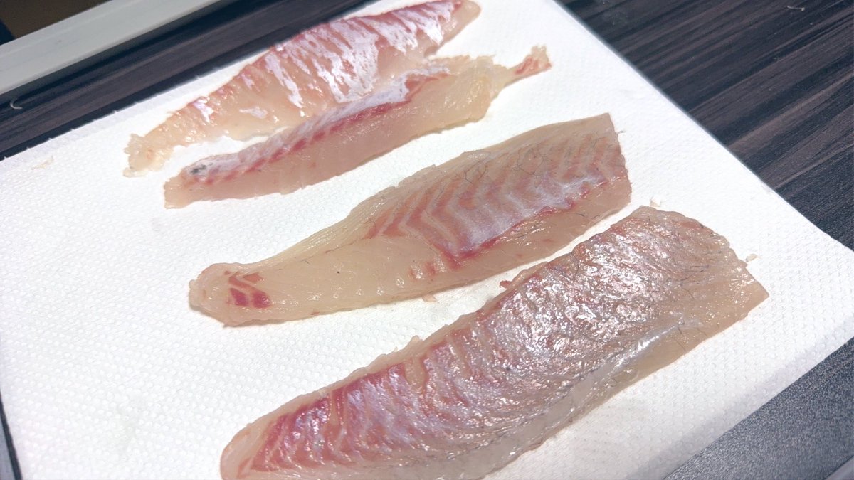 42gamisann's tweet photo. 🐟 https://t.co/mfVdaPC8jK
