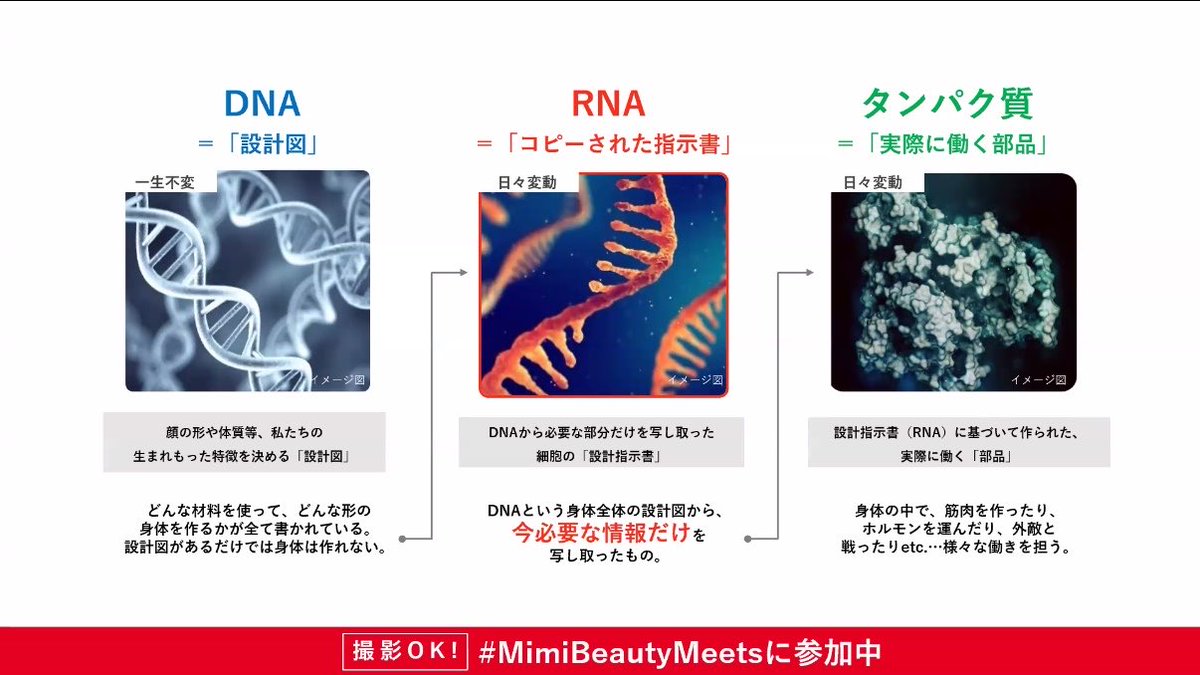 ayachi81's tweet photo. #MimiBeautyMeetsに参加中

最初から最後までひたすら最新の科学技術すごい…と感心する1時間だった😆

6月の肌診断の結果はC2のぴかぴか期だったので、しばらくはメイクもスキンケアもツヤ重視で頑張ってみる♡

実際に皮脂を採取して、自分の肌の詳しい状態を見る診断もいずれやってみたいな〜👀 https://t.co/tuGXQE7IqE