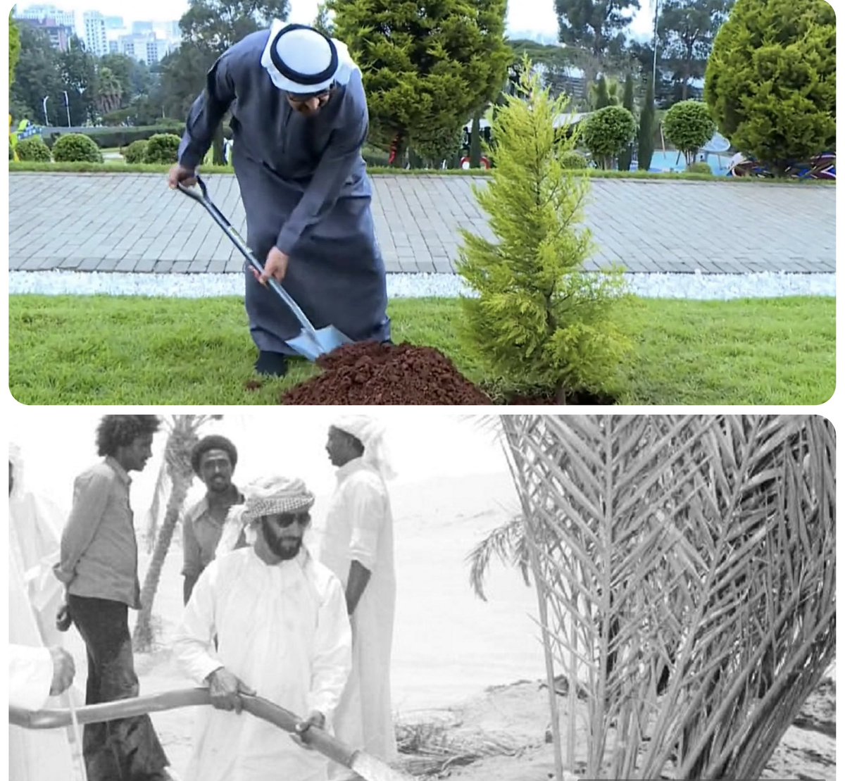 S_almentheri's tweet photo. One of the most powerful images from Sheikh Mohamed bin Zayed’s 2023 visit to Ethiopia. 

He and Prime Minister Abiy Ahmed planted a tree together. A simple act with deep meaning , roots of friendship planted for generations to come.

Carrying forward his father Sheikh Zayed’s deep love for planting and caring for the land. Sheikh Mohamed invited Ethiopia to COP28. 

Today, that tree still grows. Just like the strong, flourishing partnership between the UAE and Ethiopia. 🇦🇪🇪🇹