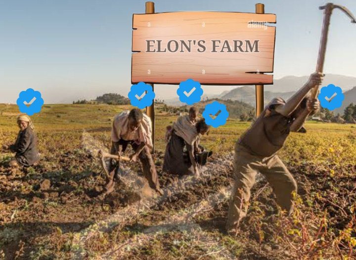 GhettoOCS's tweet photo. @Entr_dawood Na hii shamba ni ngumu, mvua ilinyesha lini mwisho.." https://t.co/n46ABAoM33