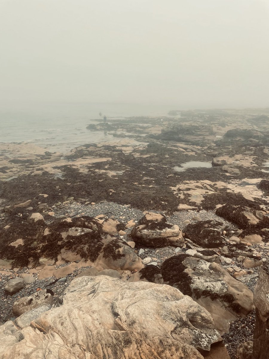 theemptymile's tweet photo. The sea was almost swallowed by the mist this morning. Zoomed into one of my photos afterwards and found two fishermen standing at the edge of the world.  
 
You never quite see everything the first time.

#MorningRun #SeaMist #NorthSea https://t.co/jZ1mqEc4NF