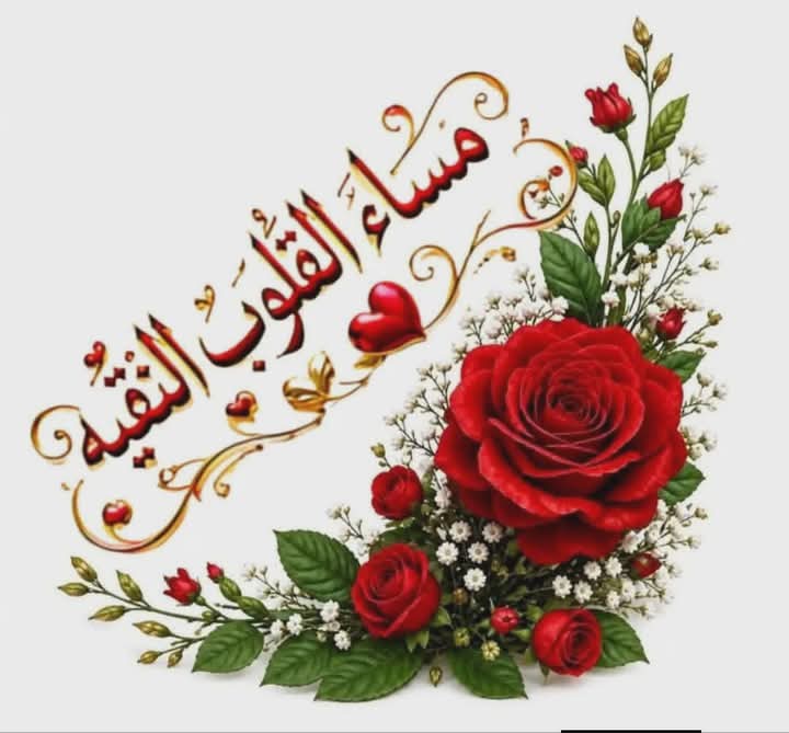 mslmn1700001's tweet photo. القلوب مزارع والأفعال بذور
فكما تحتاج الزهور لضوء الشمس لكي تتفتح
تحتاج أرواحنا لضوء الكلمة الطيبة لكي تشرق
المشاعر ليست مجرد نبض بل هي حياة تحتاج لرعاية
فالأشياء التي لا تُسقى بـ الاهتمام.. تذبل بصمت 
والأرواح التي تحاط بـ الحنان تزهر حتى في عز الخريف
 اسعد الله مسائكم بكل خير، https://t.co/0JRTO8Jtvw