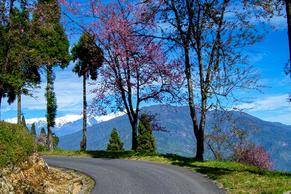 IndiaAesthetica's tweet photo. Ravangla in Namchi, Sikkim 🌸🏔️🌄🇮🇳 https://t.co/S3qAKW4B7R
