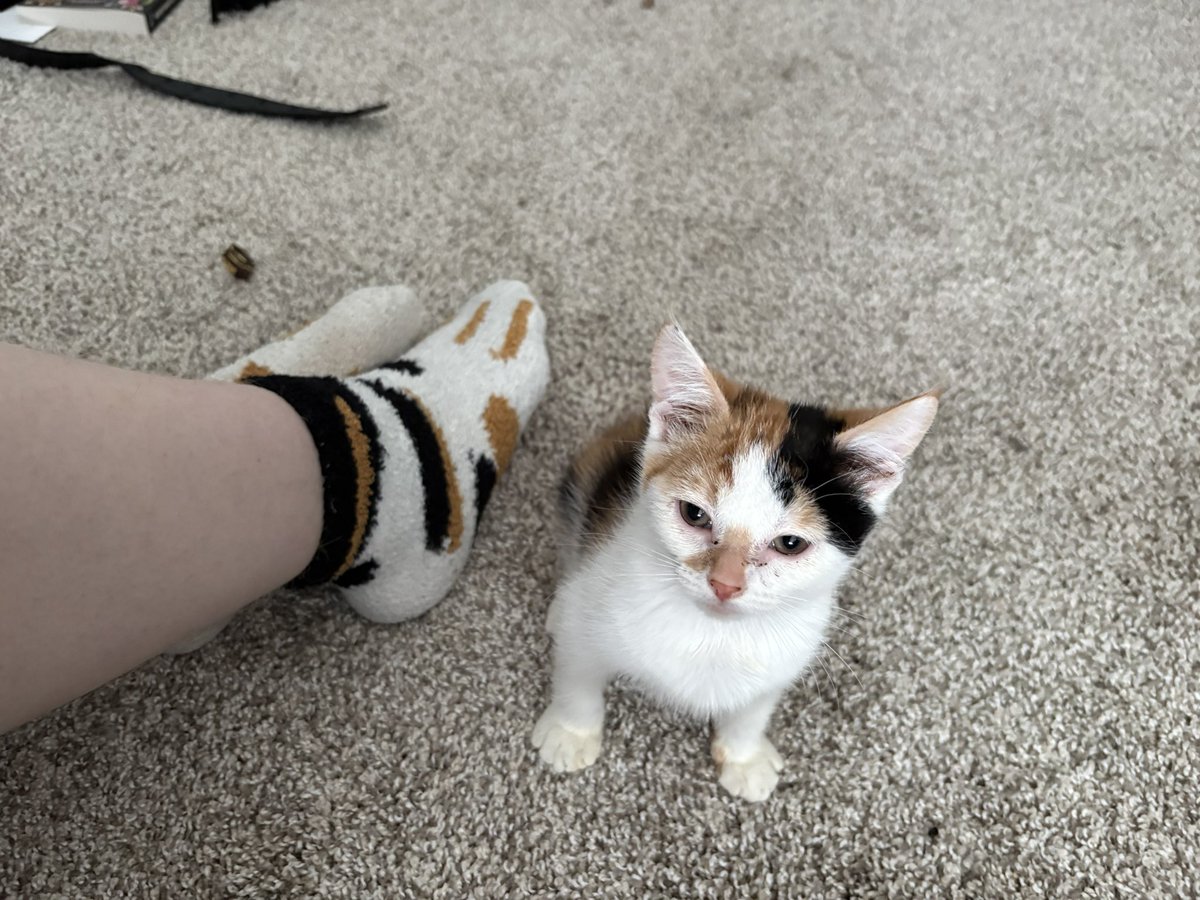 mrowvis's tweet photo. we matching today ❤️ https://t.co/gBBObz1tQP