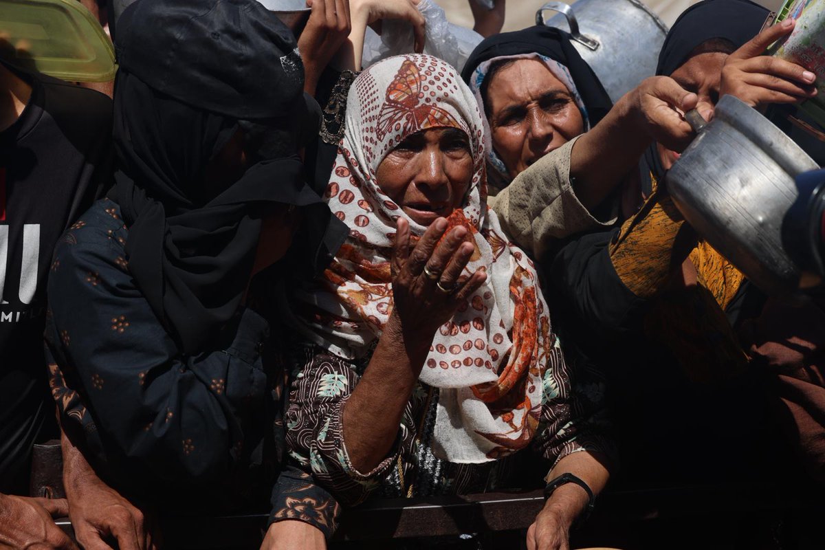 FrontlinesPeace's tweet photo. Khan Younis, zone d'Al-Mawasi. Des familles déplacées sous des tentes, qui font la queue devant une cuisine communautaire pour recevoir un repas. 🇵🇸

Ce que documente notre correspondant Ahmad Albaba est une réalité quotidienne pour des centaines de milliers de personnes. https://t.co/ONA2MNej14