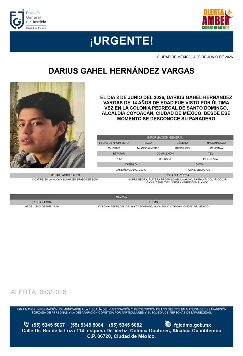 AAmberCDMX's tweet photo. Se activa #AlertaAmber para localizar a Darius Gahel Hernández Vargas, de 14 años, visto por última vez el pasado 8 de junio, en la colonia Pedregal de Santo Domingo, alcaldía Coyoacán. https://t.co/VsYWmwykd6