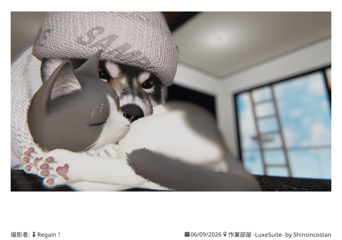 VrcKen's tweet photo. かわい～ https://t.co/OVk7G3ptmJ