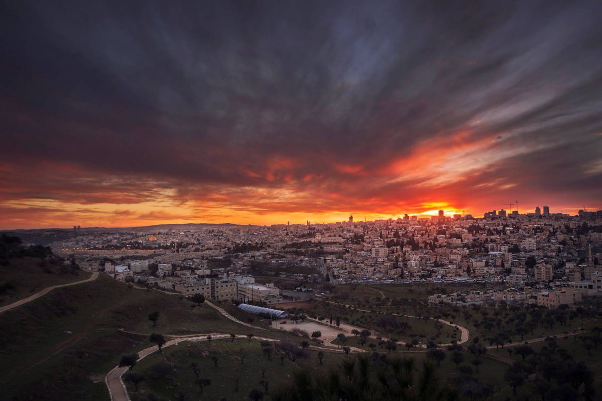 شذرات فلسطينية tweet media