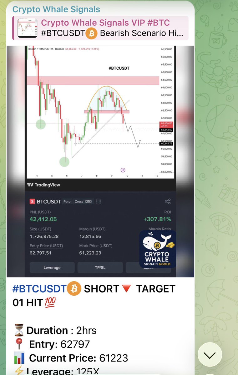 WhaleMasterPro's tweet photo. #BTCUSDT💰 SHORT🔻 TARGET 01 HIT💯

⏳Duration : 2hrs 
📍 Entry: 62797
📊 Current Price: 61223
⚡Leverage: 125X
📈 ROI: +307%
💵PNL : +42.4K

#VIP_SIGNAL💎

🔗️ Join us in Telegrm, link in bio
@WhaleMasterPro 

#BYBIT  #ETHUSDT   #BTCUSDT  $BTC #BTC   #BINANCE #HUSDT #CLOUSDT #EPICUSDT #DUSDT #COSUSDT