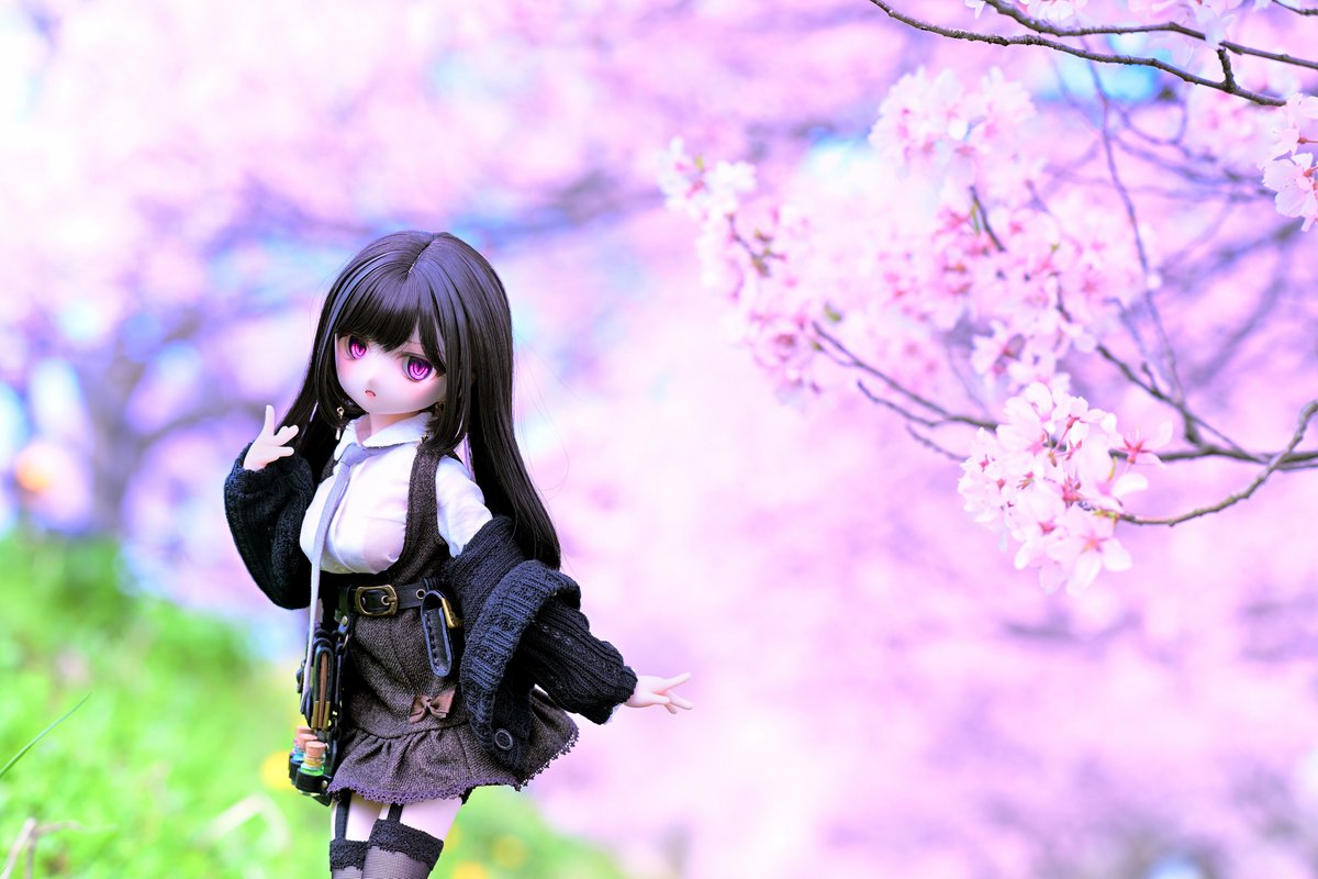 faphnia's tweet photo. ”four seasons”

#私はカメラでこんな写真を撮ってる人です
#きな娘 https://t.co/AuQebHoeh7